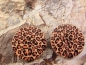 Preview: Leo Print Knopf Ohrringe Holz Button wood Tiger